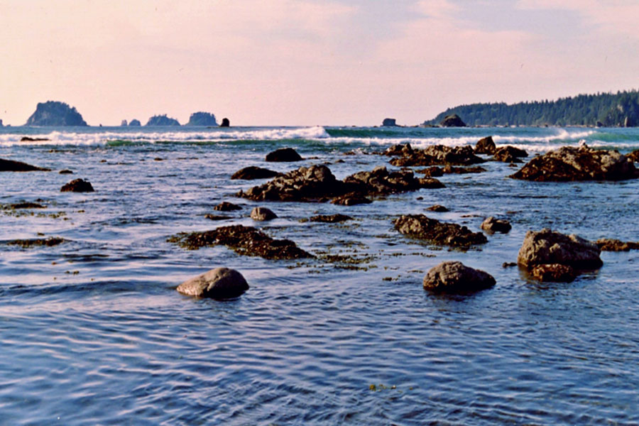 Cape-Alava-Ozette-Island Cape Alava at Ozette Island