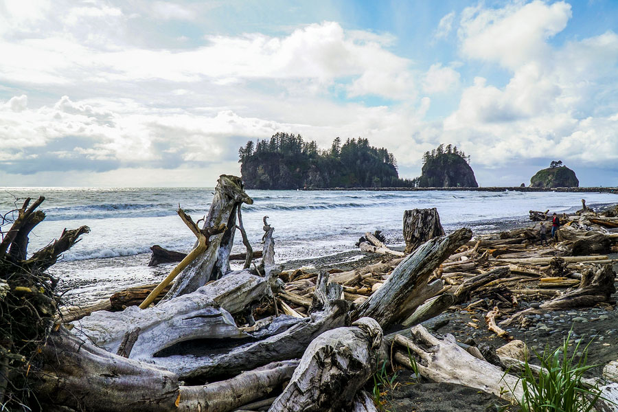 landscape of La Push Beach