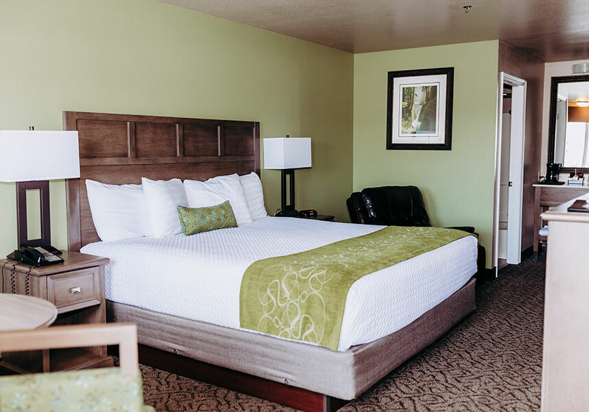 King-Room-2 one bed guest room