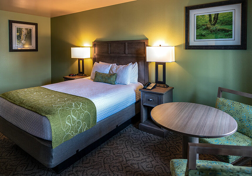 One Bed Guestroom Updated 1 one guest bed room