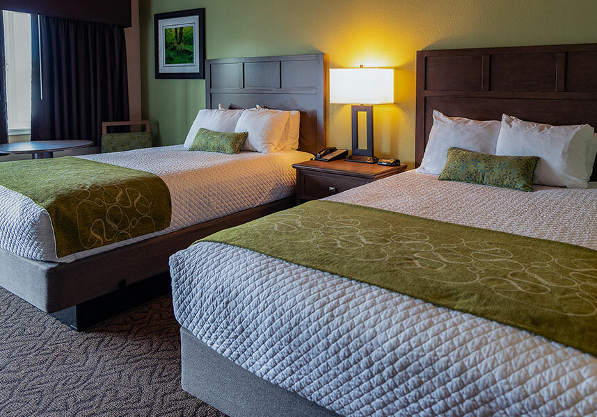 Two Beds Guestroom-Updated double beds room